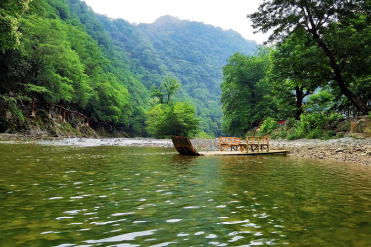【小隴畫報·95期】康縣：來陽壩，“森”呼吸，我“氧”你