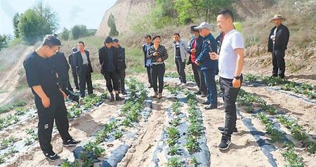 讓千家萬戶端穩飯碗——定西市安定區穩就業保民生見聞