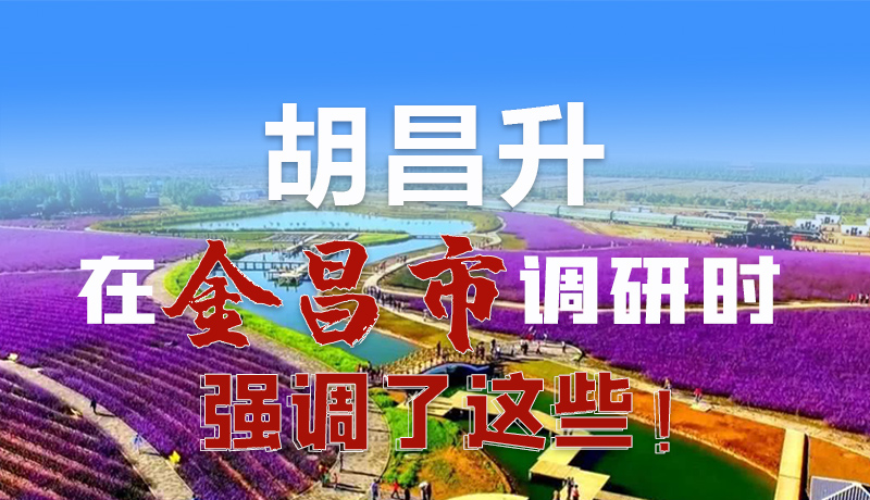圖解|胡昌升在金昌市調研時強調了這些！