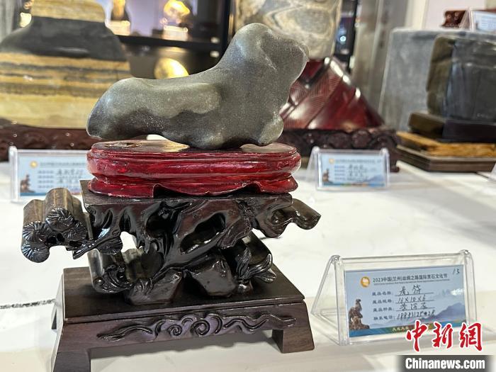 8月3日——7日,2023中國(蘭州)絲綢之路國際賞石文化節在甘肅國際會展中心舉行。圖為名為《虎符》的黃河石。楊娜 攝</p><p> 8月3日——7日,2023中國(蘭州)絲綢之路國際賞石文化節在甘肅國際會展中心舉行。圖為名為《虎符》的黃河石。楊娜 攝</p><p>