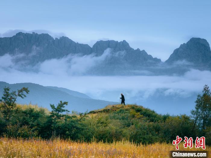 攝影師鏡頭下的太子山。邱活 攝 攝影師鏡頭下的太子山。邱活 攝
