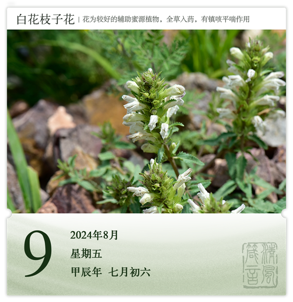 1722569189271956.png 箴歷日歷8-9.png