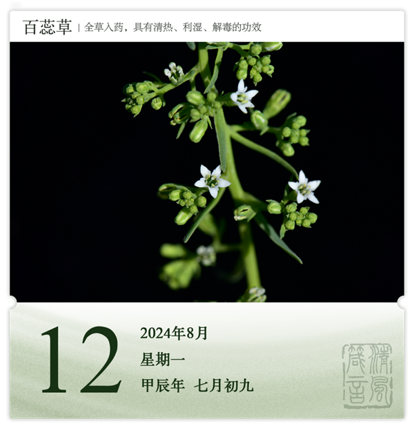 1722569532841458.png 箴歷日歷8-12.png
