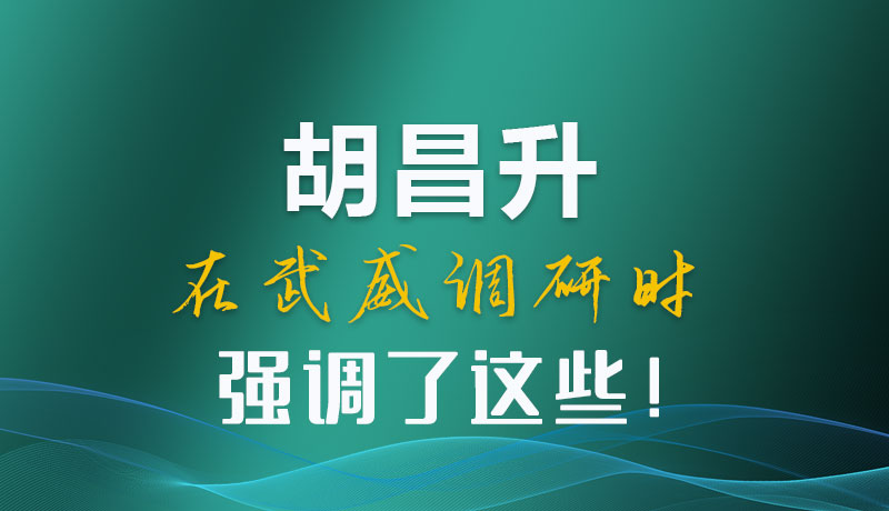 圖解|胡昌升在武威調(diào)研時(shí)強(qiáng)調(diào)了這些！
