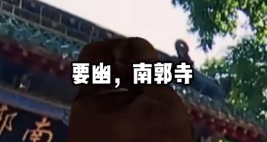 回答我！不來甘肅看看，你在等什么！